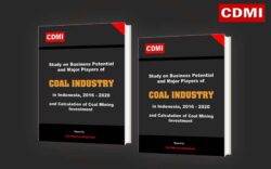 Coal Industry in Indonesia