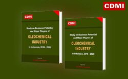 Oleochemical Industry in Indonesia