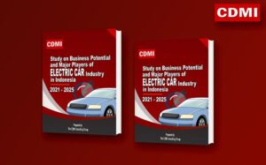 Electric Car Industry