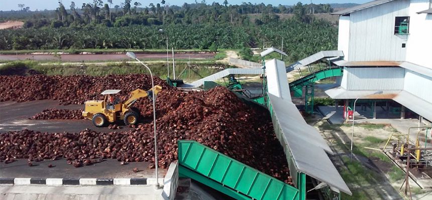daftar perusahaan kelapa sawit di Indonesia